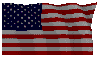 Flag of the United States of America